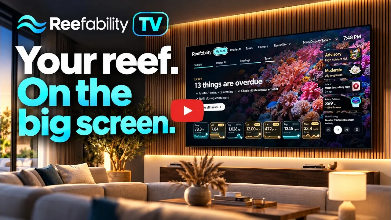 Reefability TV showing a reef tank's readings and tasks on a living room TV
